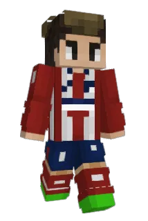 Brychcy53 Minecraft avatar full body