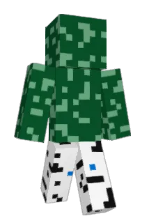Brzoza1D Minecraft avatar full body