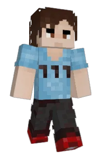 Btidsy Minecraft avatar full body