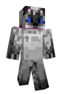 Bucket9737 Minecraft avatar full body