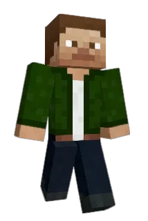 BuddelBox Minecraft avatar full body