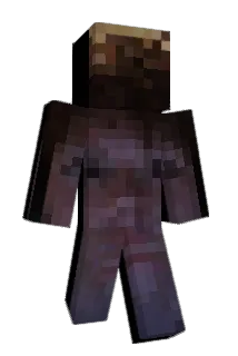 Buddsters Minecraft avatar full body