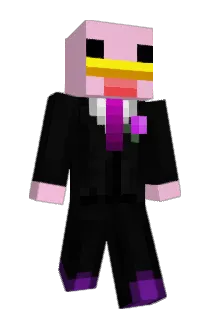 Budgerrr Minecraft avatar full body