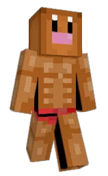Custom render preview