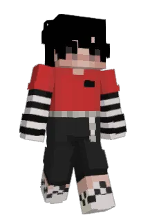 Buffet Minecraft avatar full body