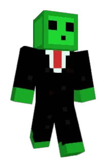 Buhagen Minecraft avatar full body