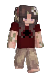 Bumbees Minecraft avatar full body