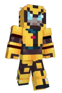 Bumblebee2005_ Minecraft avatar full body