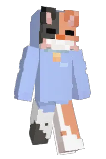 Bunchcat Minecraft avatar full body