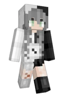 BunnyHopster Minecraft avatar full body