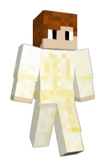 Burgerihno Minecraft avatar full body