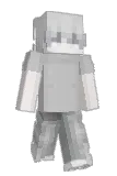 Buritoes Minecraft avatar full body