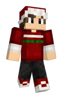 Burki3 Minecraft avatar full body