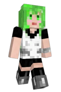 Burpopo Minecraft avatar full body