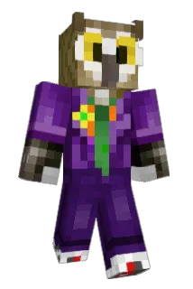 Burr0SWF Minecraft avatar full body