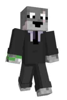 Burritos1818 Minecraft avatar full body