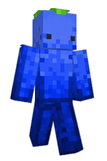 Burrrbagel Minecraft avatar full body