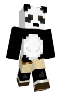 BusOlsson05 Minecraft avatar full body