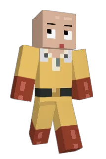 BusanSeagull Minecraft avatar full body