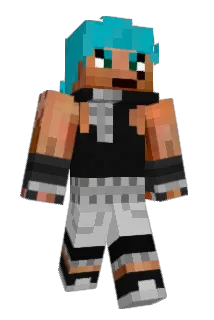 Bush1n Minecraft avatar full body