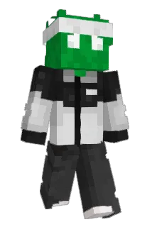 BushMC_ Minecraft avatar full body