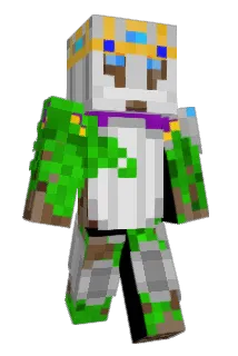 Bushking75 Minecraft avatar full body