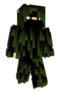 Bushwookie3305 Minecraft avatar full body