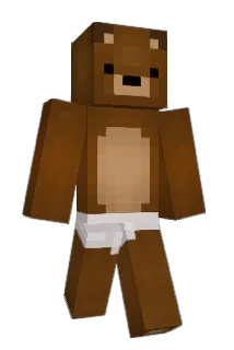 Busk0 Minecraft avatar full body