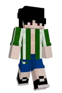 Bustamove45 Minecraft avatar full body