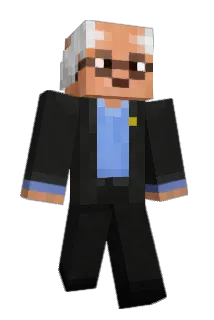 Buuged Minecraft avatar full body