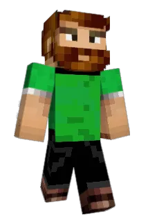 Buwalda Minecraft avatar full body