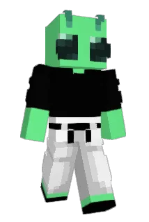 Buwoo Minecraft avatar full body