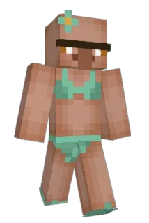 BuyHighSellLow Minecraft avatar full body