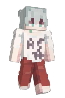 BuzzinBallz Minecraft avatar full body