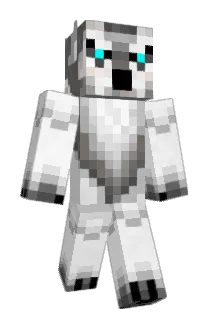 Bwad28 Minecraft avatar full body