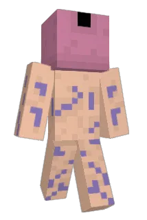 Bybys Minecraft avatar full body