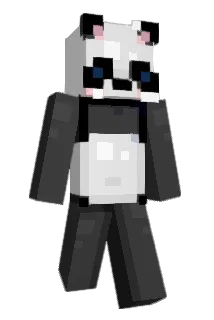 Bylle2005 Minecraft avatar full body