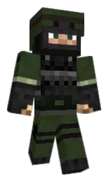 Custom render preview