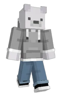 C00pa Minecraft avatar full body