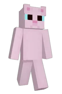 C0NST3LL4T10N Minecraft avatar full body