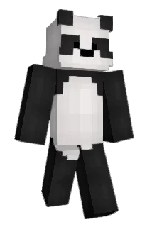 C0kr Minecraft avatar full body