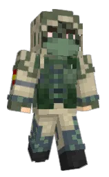 Custom render preview