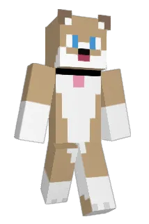 C0upon Minecraft avatar full body
