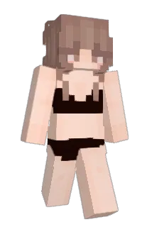 C6_P7 Minecraft avatar full body