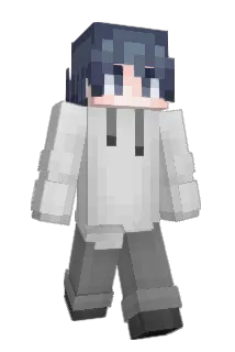 C8H17OH Minecraft avatar full body