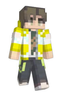 CAN103 Minecraft avatar full body