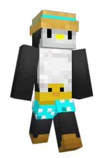 CARI_F1 Minecraft avatar full body