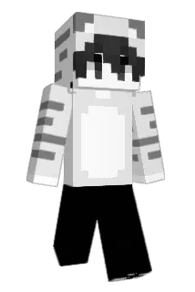 CCATBOY Minecraft avatar full body