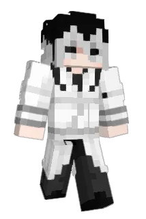 CCD303 Minecraft avatar full body