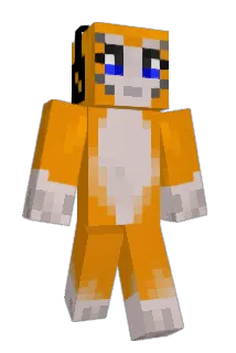 CCFC04 Minecraft avatar full body